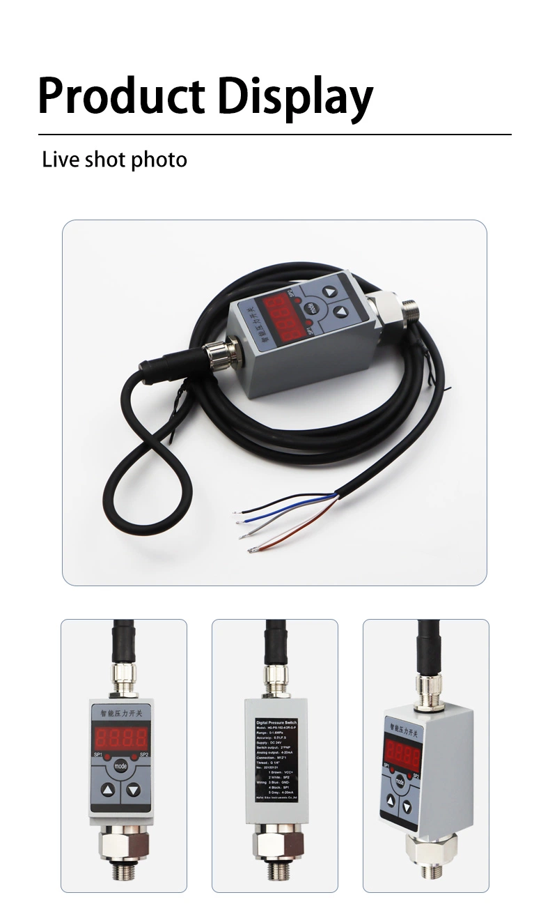 AC 220V 4-20mA Digital Flow Rate Indicator Totalizer Meter